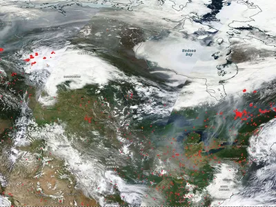 Satellite map of fires