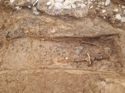 A more than four-foot-long medieval sword was found just to the left of the Swedish man&#39;s skeleton.