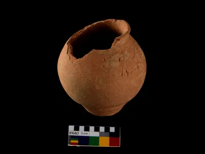 A photograph of a red slipped ware globular pot placed near the head of the skeleton that yielded ancient DNA. There are lines as well as indentations on the upper right side, just below the rim. The indentations on the body of the pot could be examples of ancient graffiti and/or "Indus script."

