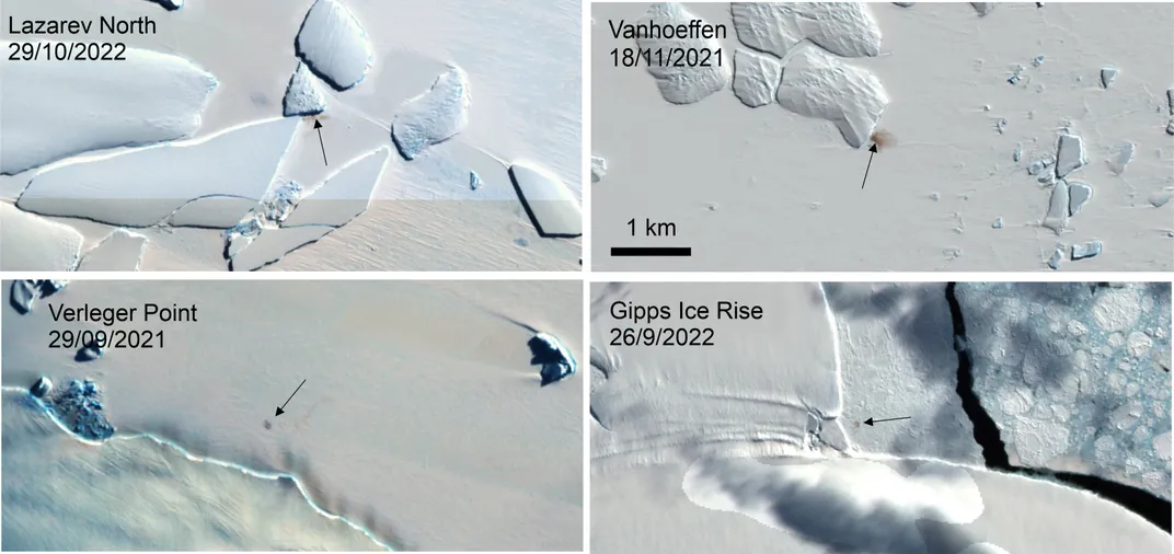 Quadrants showing satellite view of different parts of Antarctica