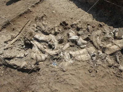 A fossil hippo skeleton and associated Oldowan artifacts were exposed at the Nyayanga site.