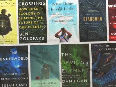 Our ten favorite science books of the year covered everything from astronomy to undersea exploration.