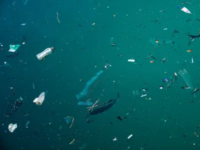 Plastics break down over time into micro- and nanosized particles that litter our water and air.
