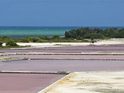 Las Salinas in Cabo Rojo National Wildlife Refuge