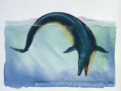 Basilosaurus hunts fish.