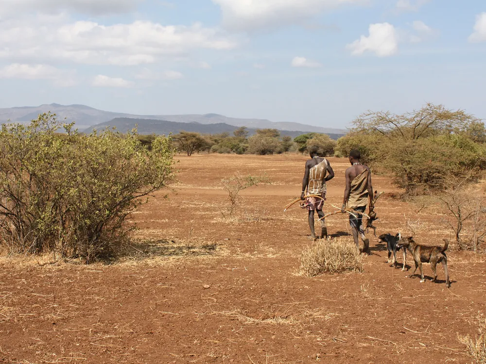 Hadza Hunters