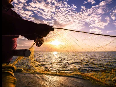 After 30 years of research, a Greek archaeologist can tell today&rsquo;s fishery biologists how bountiful the Mediterranean Sea once was.