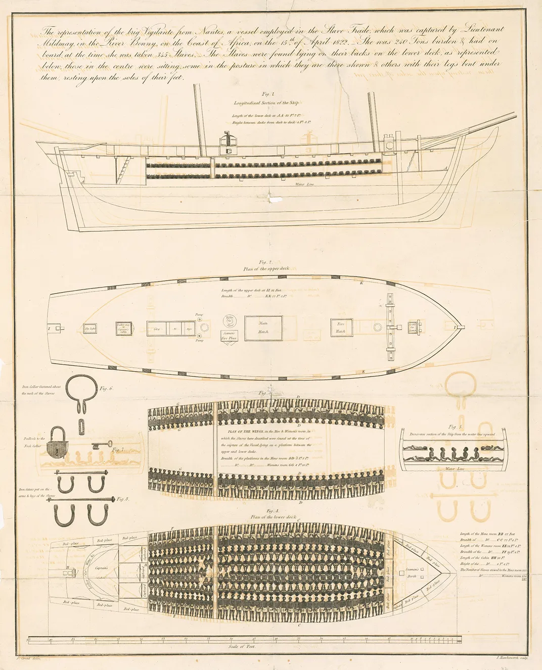 An illustration of the 19th-century ship Vigilante depicts how Africans were tightly arranged on board in shackles. About 10.7 million survived the Middle Passage across the Atlantic.