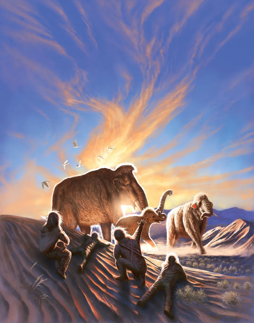 Artistic drawing of woolly mammoths