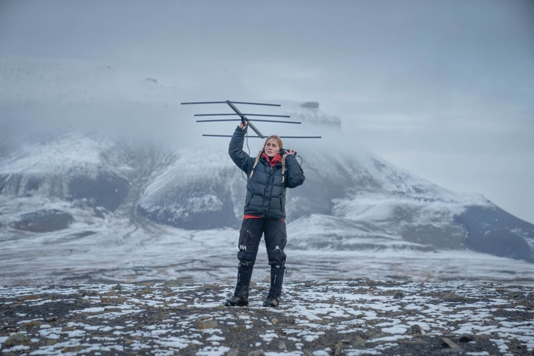 After hours of hiking, researcher Emma Djurberg uses a radio antenna to find a specific reindeer that’s been tagged with a number and fitted with a GPS collar.