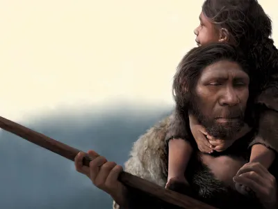 A team led by Laurits Skov and Benjamin Peter from the Max Planck Institute for Evolutionary Anthropology&nbsp;sequenced&nbsp;nuclear, mitochondrial and Y-chromosome DNA of 13 Neanderthal individuals. From these sequences, they determined that two of the Neanderthals represent a father-daughter pair and that another two are cousins.