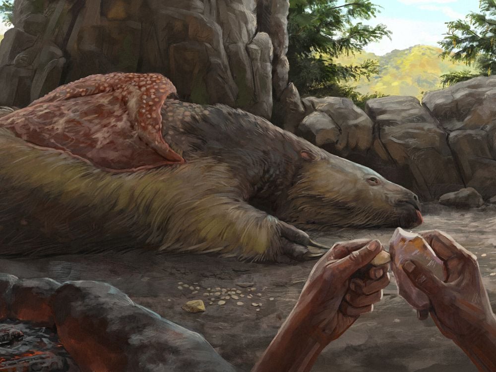 illustration in which hands grind rocks together in front of a carcass of a large mammal in a rocky mountainous area