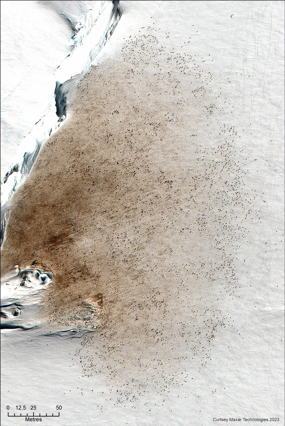 Satellite view of penguin colony on Antarctica