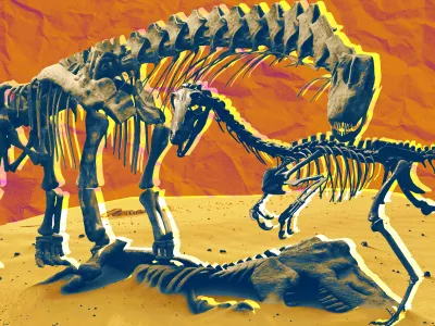 Ten big dinosaur discoveries stood out in 2023.