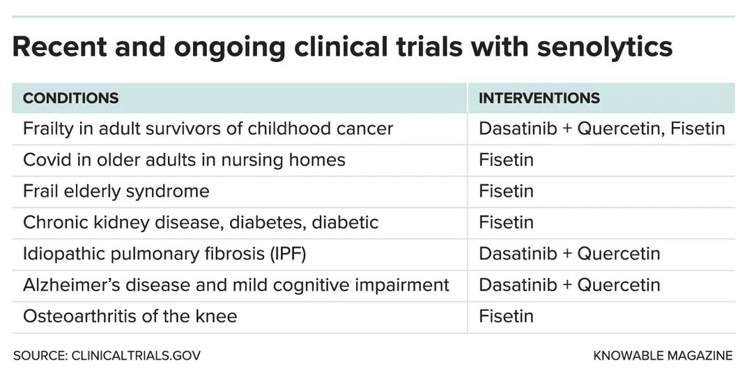 Could Getting Rid of Old Cells Help People Live Disease-Free for Longer?