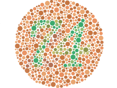 Ishihara Plate 9