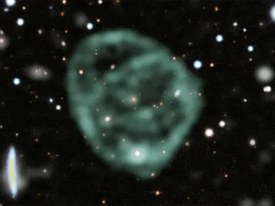 An image of an odd radio circle called ORC 1. ORCs can be much wider across than the Milky Way galaxy and are large enough to surround entire galaxies.