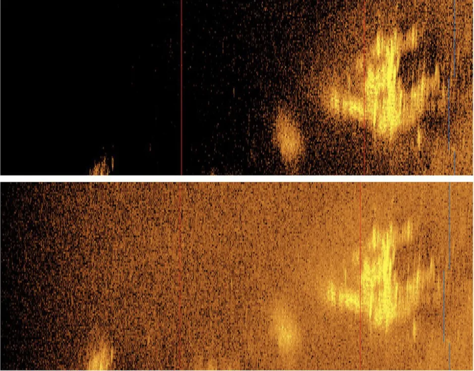 sonar image of a plane-like object